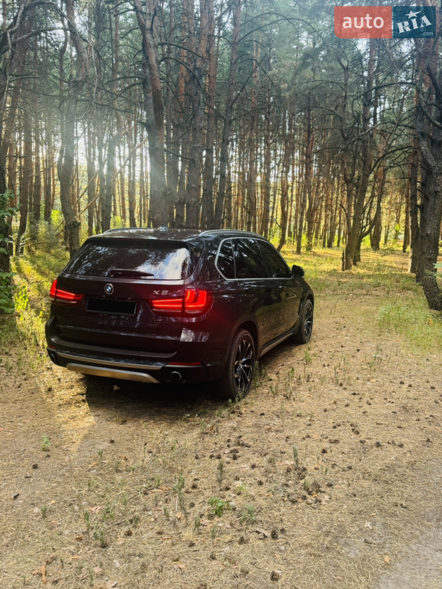 2017 BMW X5 - мініатюра 8