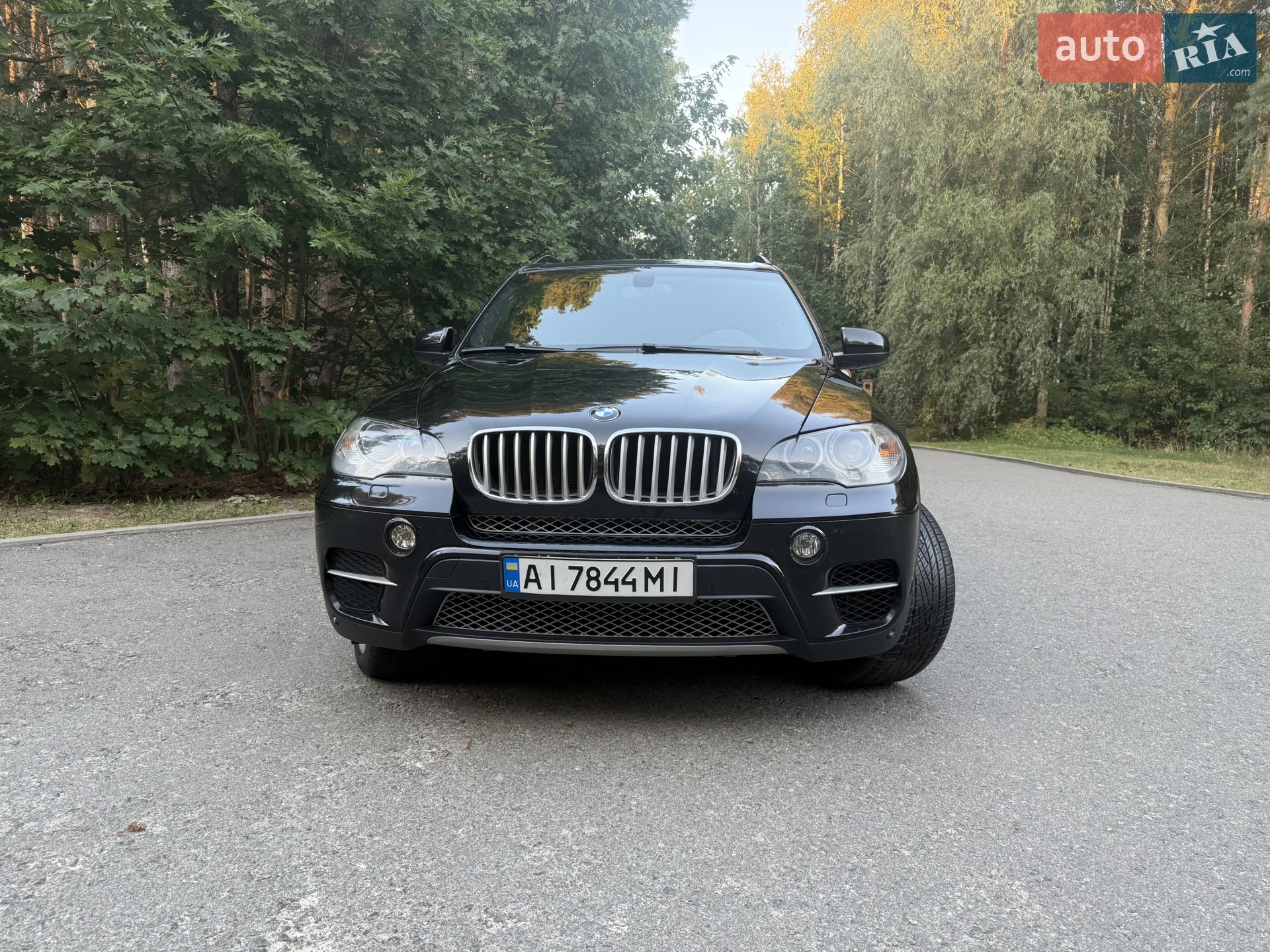 2012 BMW X5 - мініатюра 6