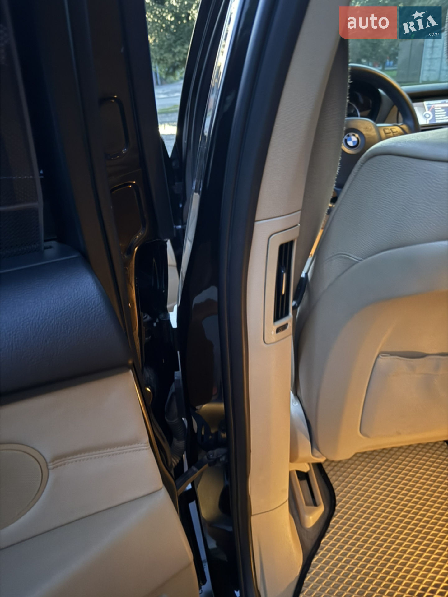 2010 BMW X5 - мініатюра 10