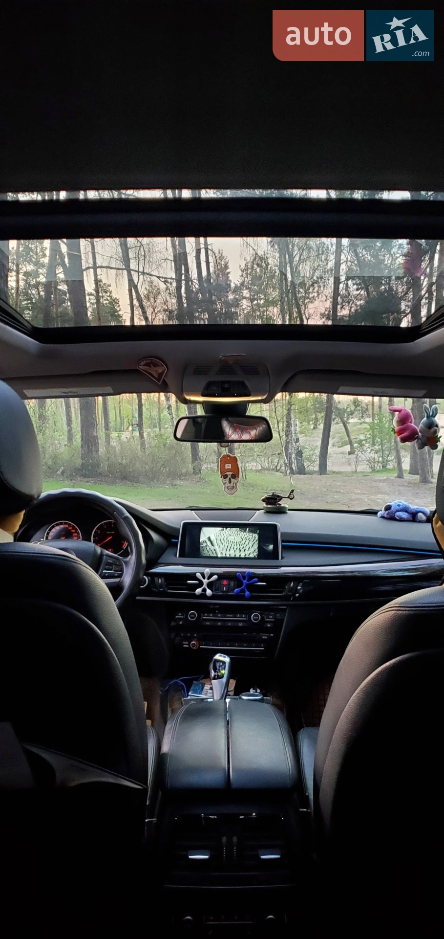 2015 BMW X5 - мініатюра 12