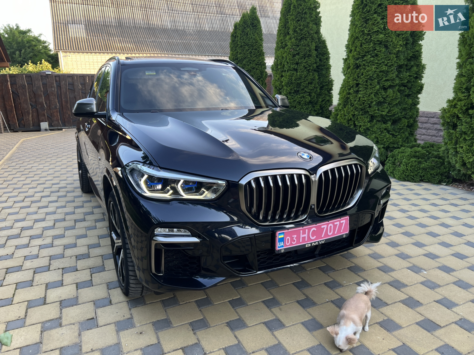2020 BMW X5 - мініатюра 19
