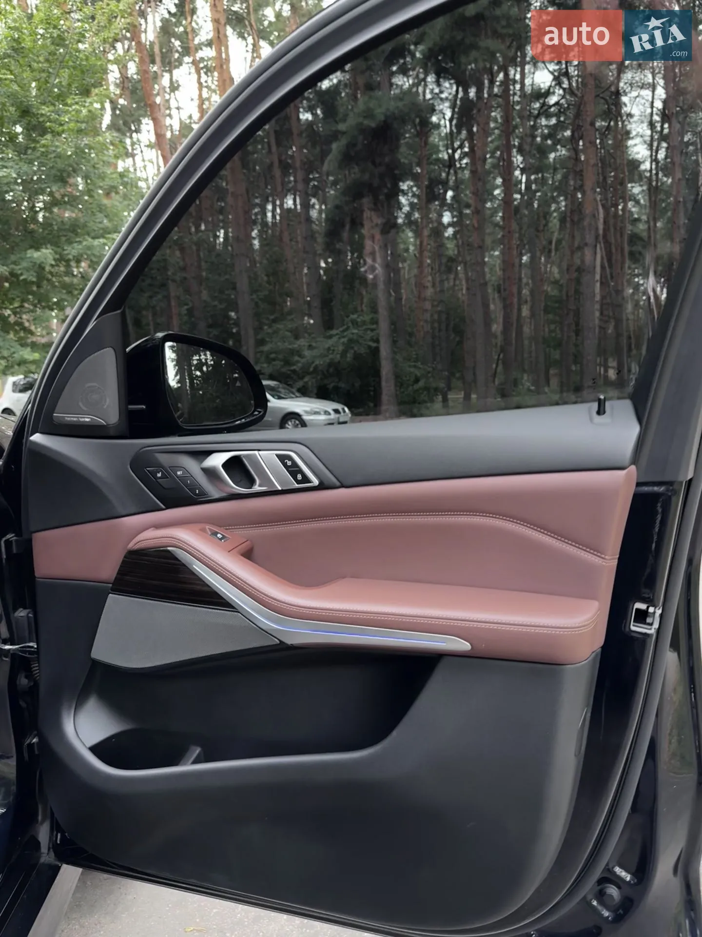2019 BMW X5 - мініатюра 30