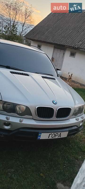 Внедорожник / Кроссовер BMW X5 2003 в Гоще фото Внедорожник / Кроссовер BMW X5 2003 в Гоще