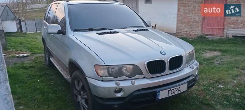 Внедорожник / Кроссовер BMW X5 2003 в Гоще фото 2 Внедорожник / Кроссовер BMW X5 2003 в Гоще