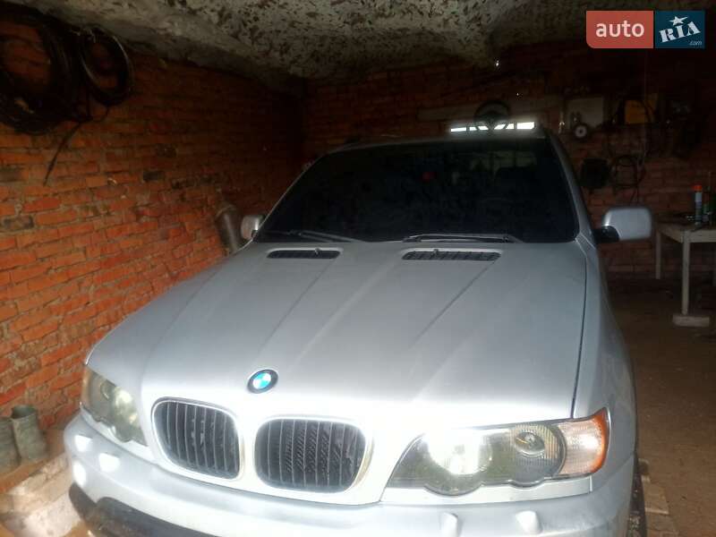 Внедорожник / Кроссовер BMW X5 2003 в Гоще фото 9 Внедорожник / Кроссовер BMW X5 2003 в Гоще