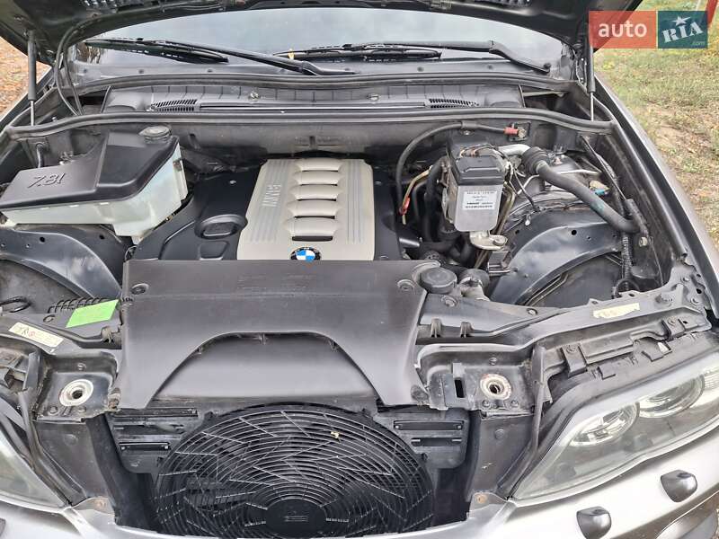 Внедорожник / Кроссовер BMW X5 2005 в Новопокровцы