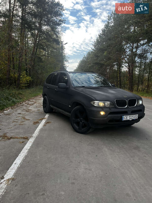 Внедорожник / Кроссовер BMW X5 2004 в Славуте