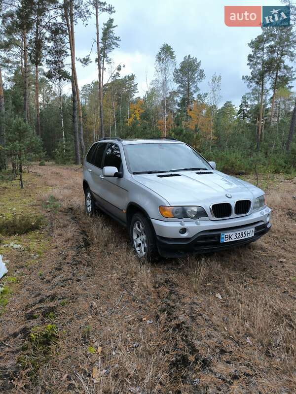 Внедорожник / Кроссовер BMW X5 2002 в Ровно фото 7 Внедорожник / Кроссовер BMW X5 2002 в Ровно