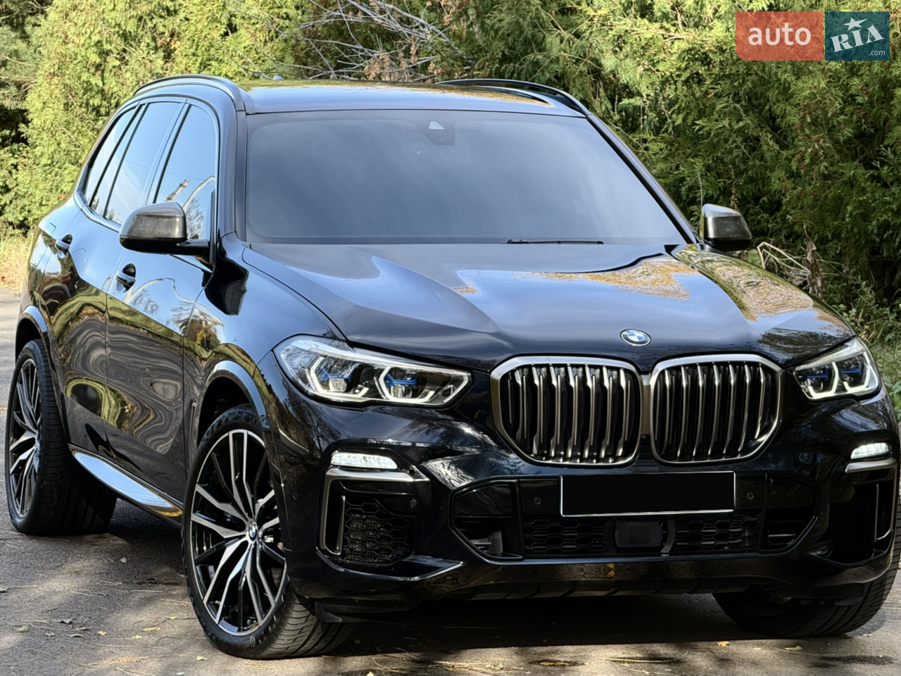 2019 BMW X5 - мініатюра 53