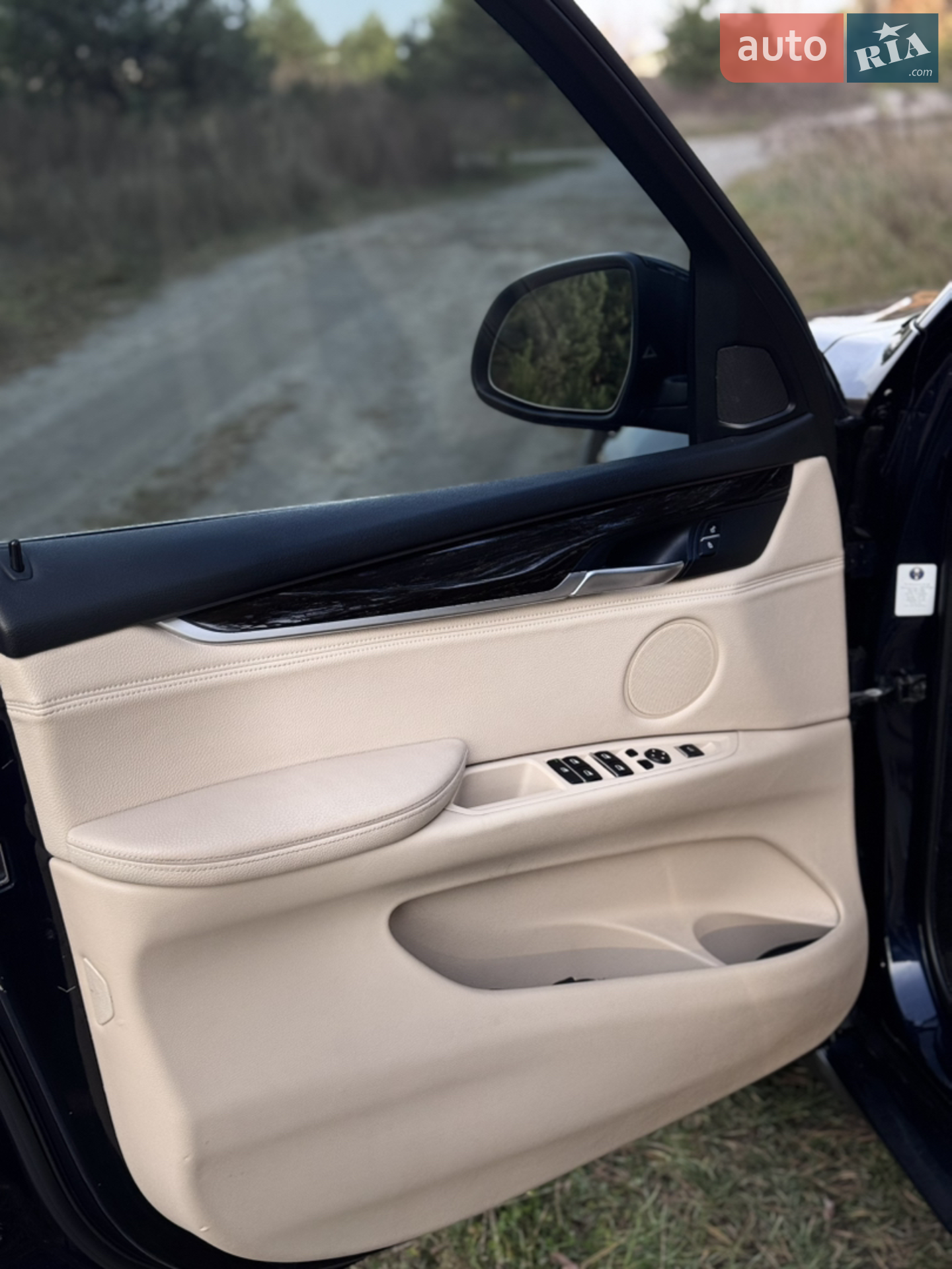 2014 BMW X5 - мініатюра 10