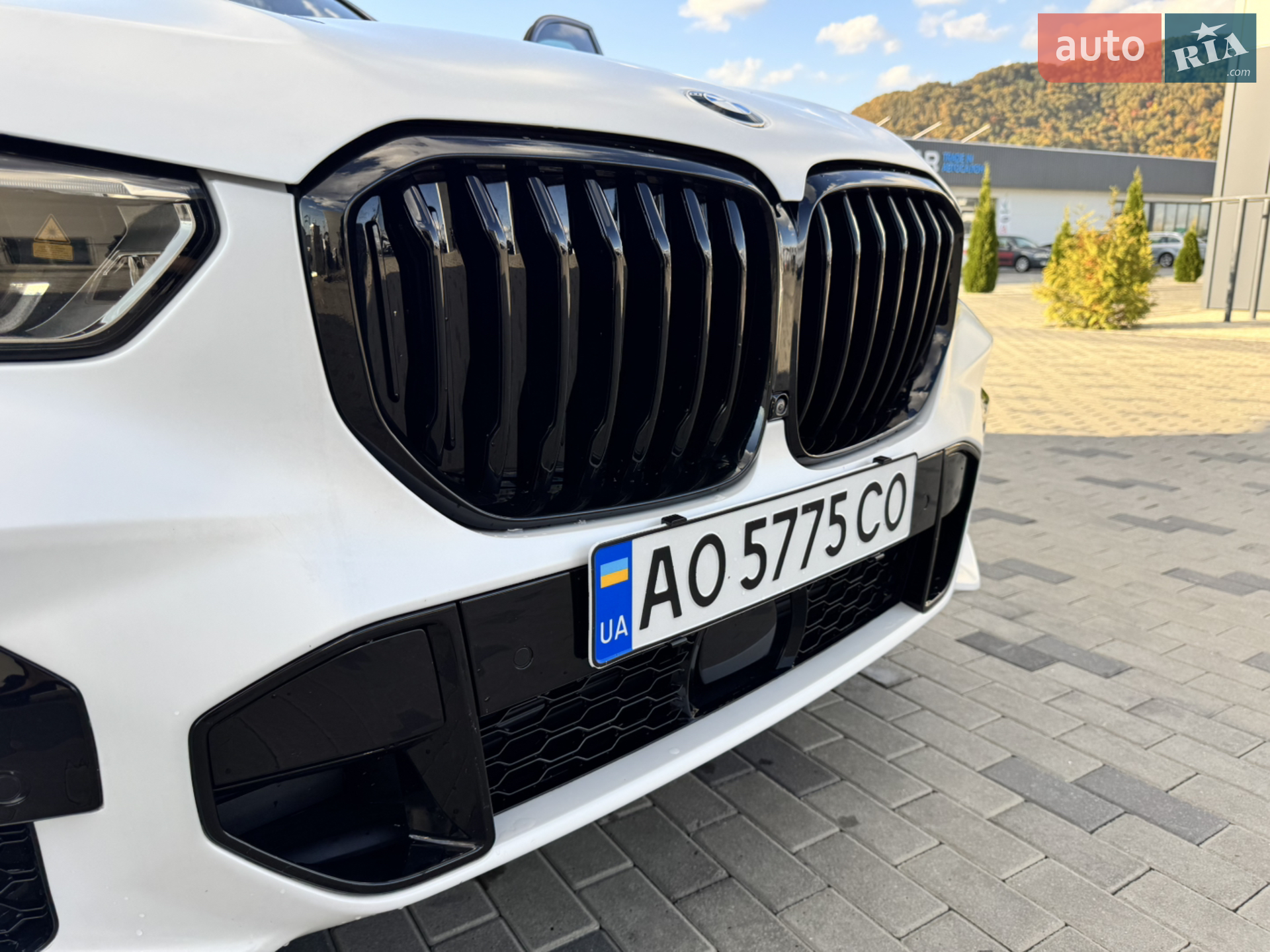 2019 BMW X5 - мініатюра 10