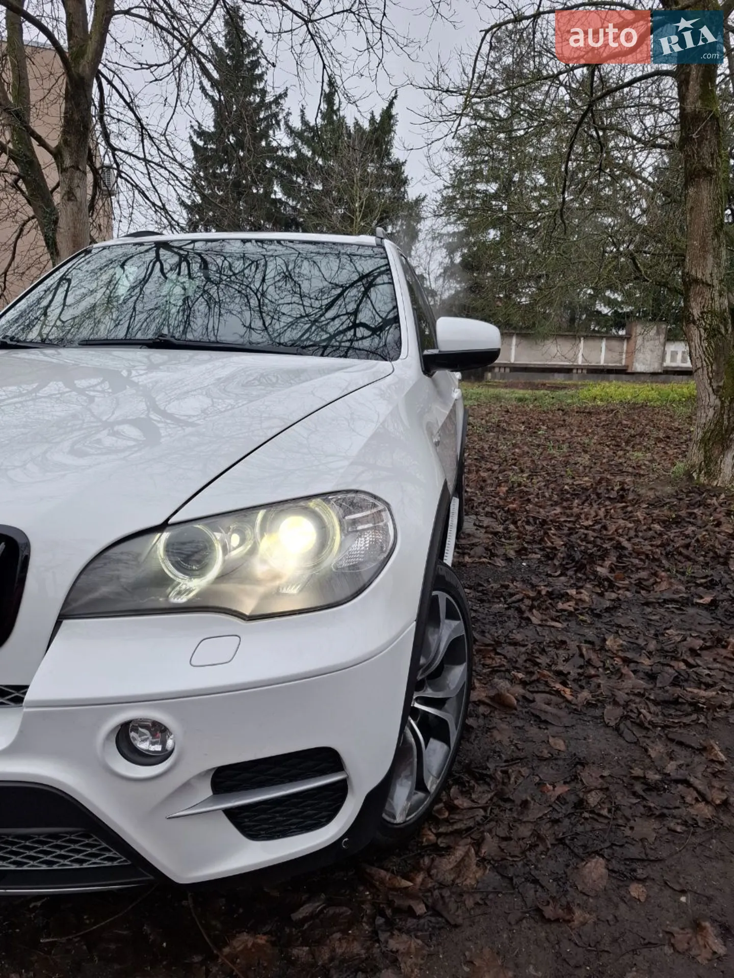 2010 BMW X5 - мініатюра 7