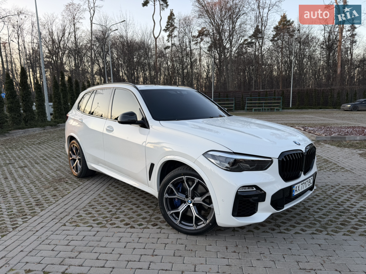 2019 BMW X5 - мініатюра 42