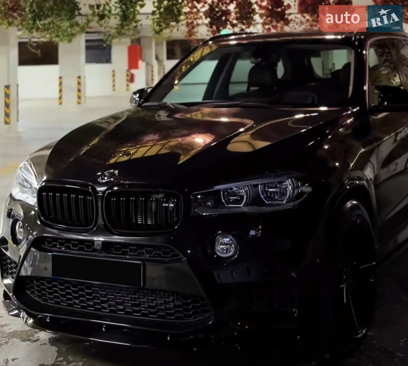 2017 BMW X5 - мініатюра 39