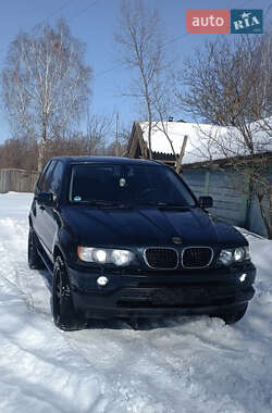 Внедорожник / Кроссовер BMW X5 2003 в Коропе