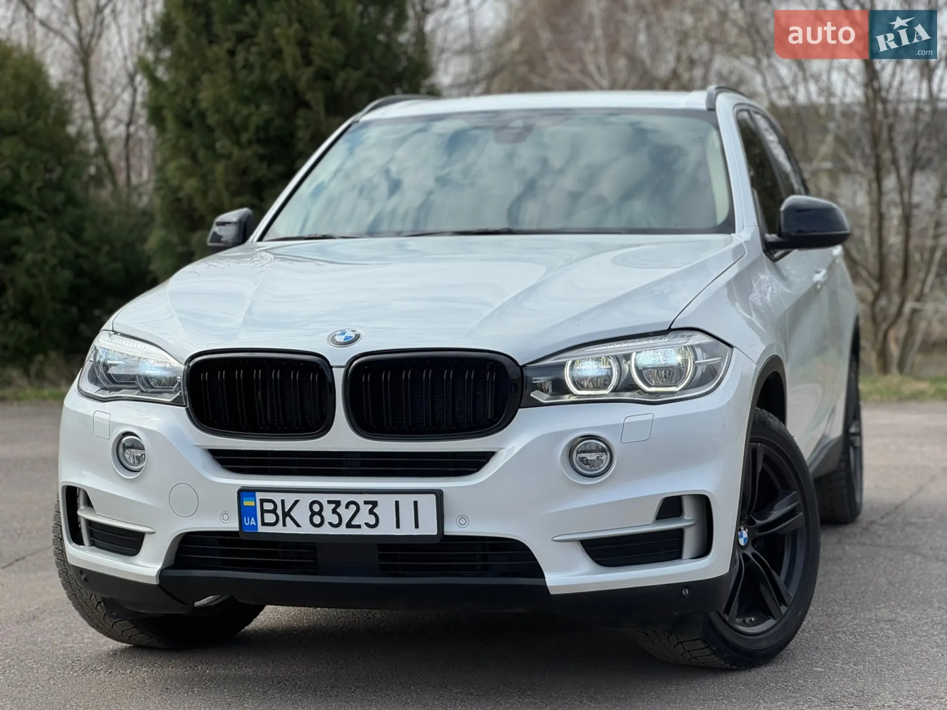 2013 BMW X5 - мініатюра 5