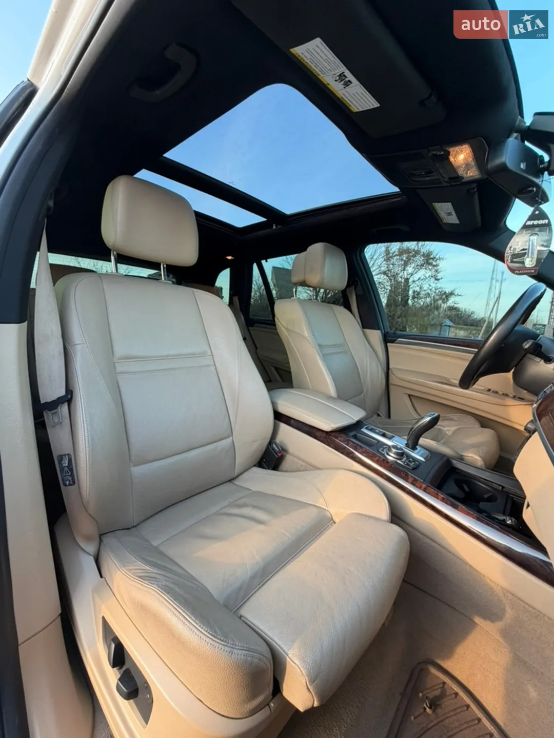 2010 BMW X5 - мініатюра 16
