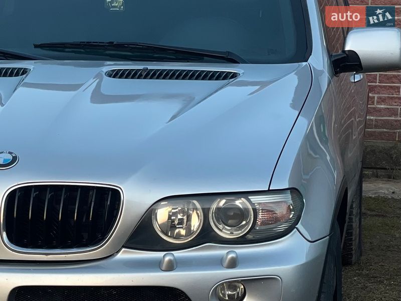 Позашляховик / Кросовер BMW X5 2004 в Березному