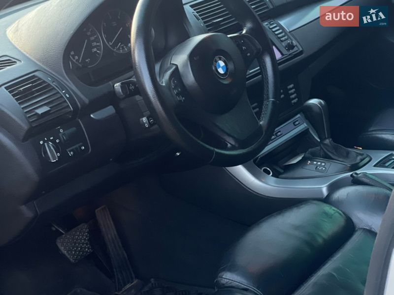 Позашляховик / Кросовер BMW X5 2004 в Березному