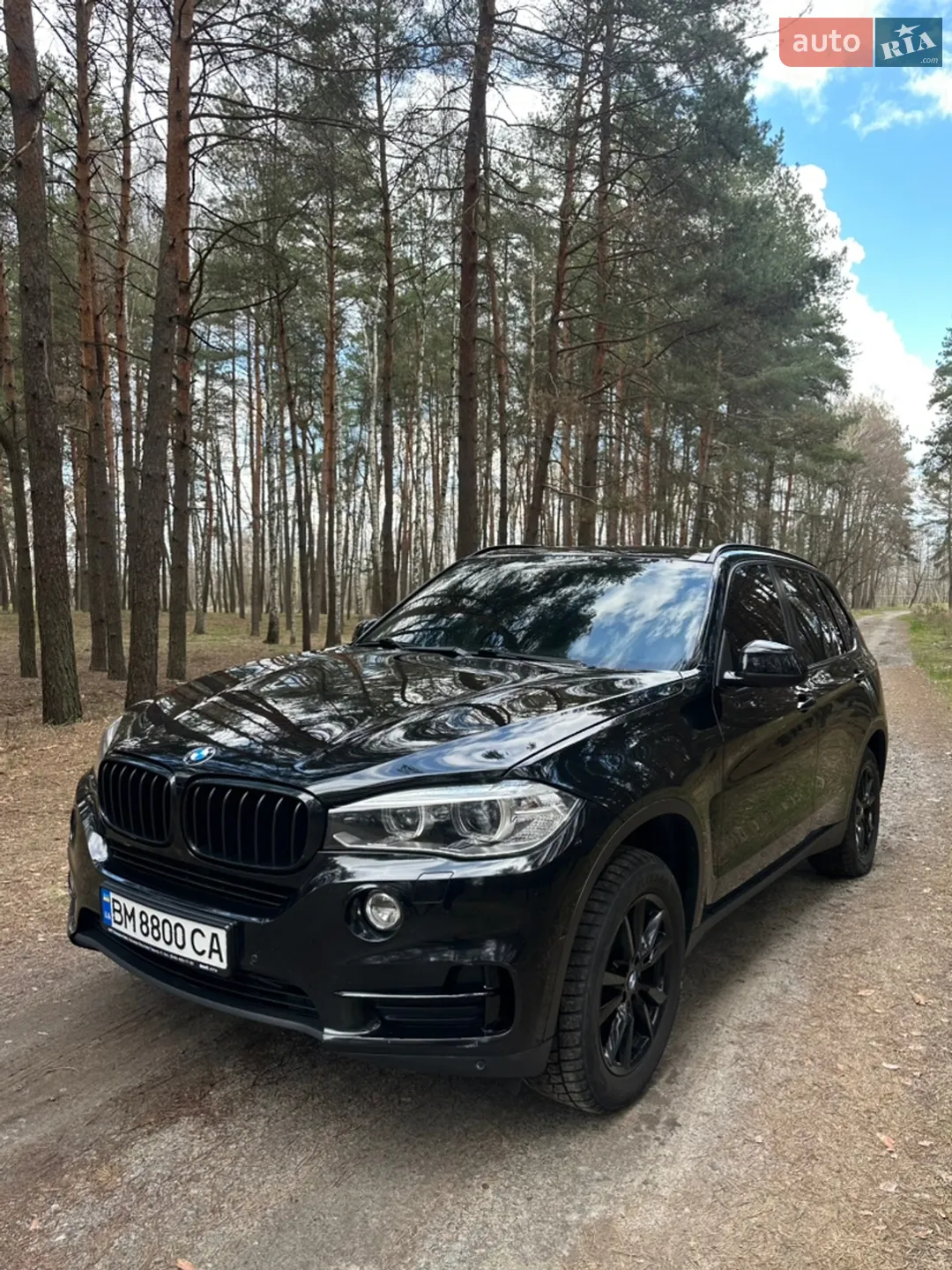 2014 BMW X5 - мініатюра 3