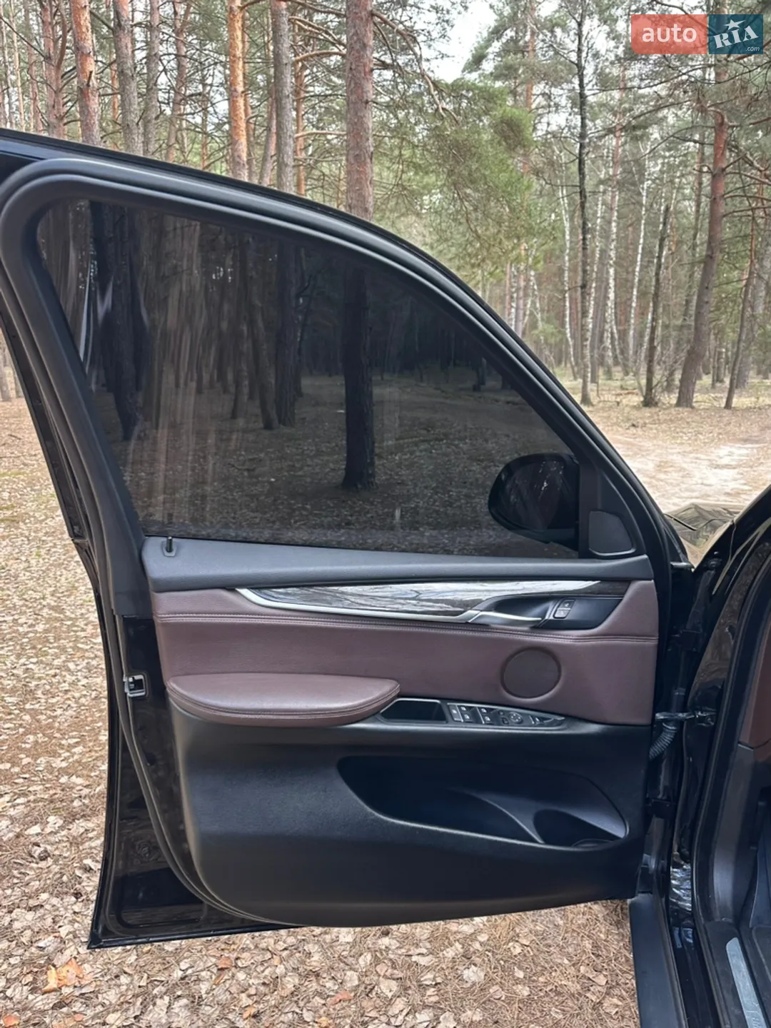 2014 BMW X5 - мініатюра 52