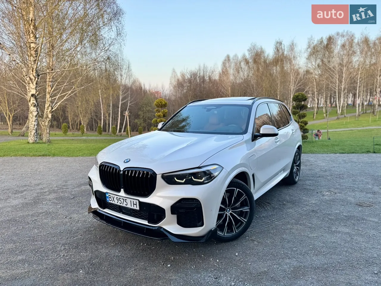 2020 BMW X5 - мініатюра 22