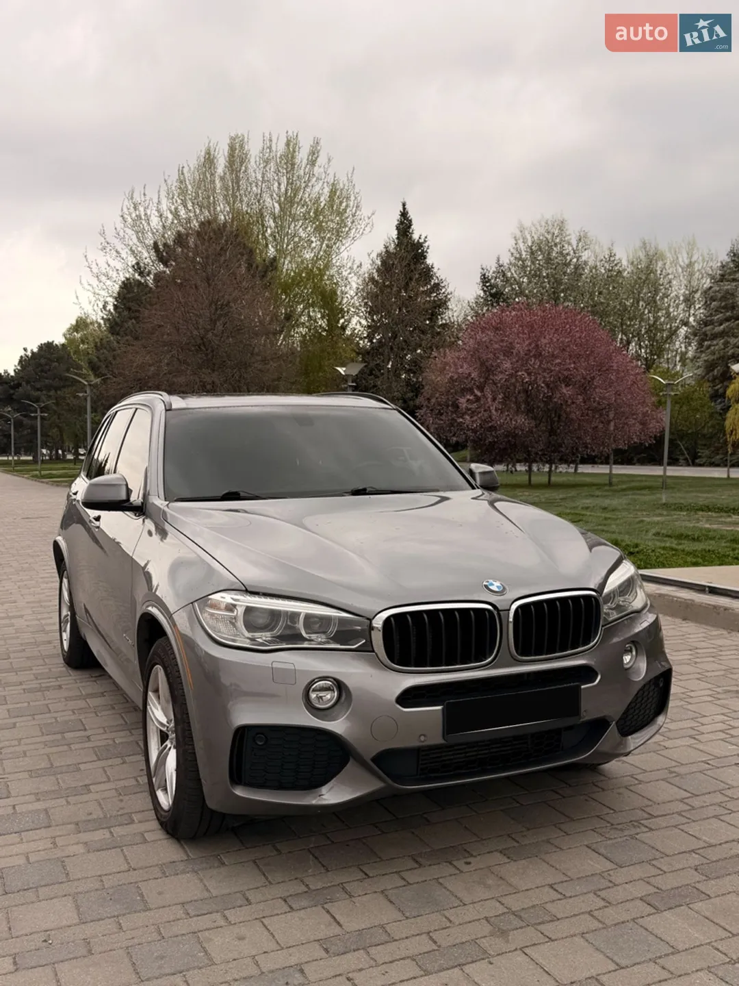 2015 BMW X5 - мініатюра 2