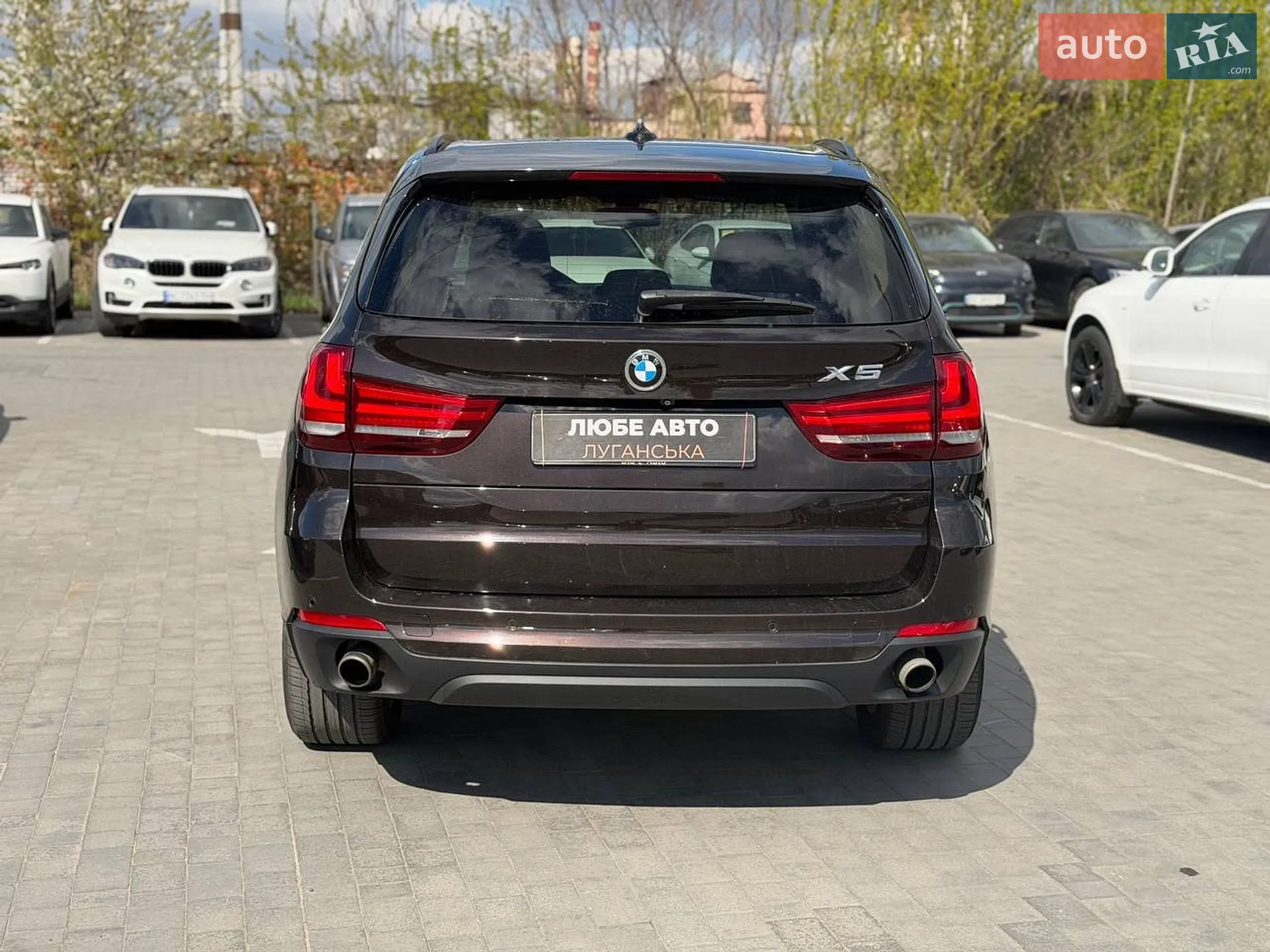 2014 BMW X5 - мініатюра 5