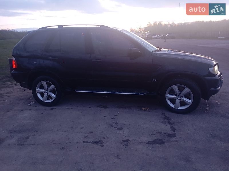 Внедорожник / Кроссовер BMW X5 2003 в Вольнянске