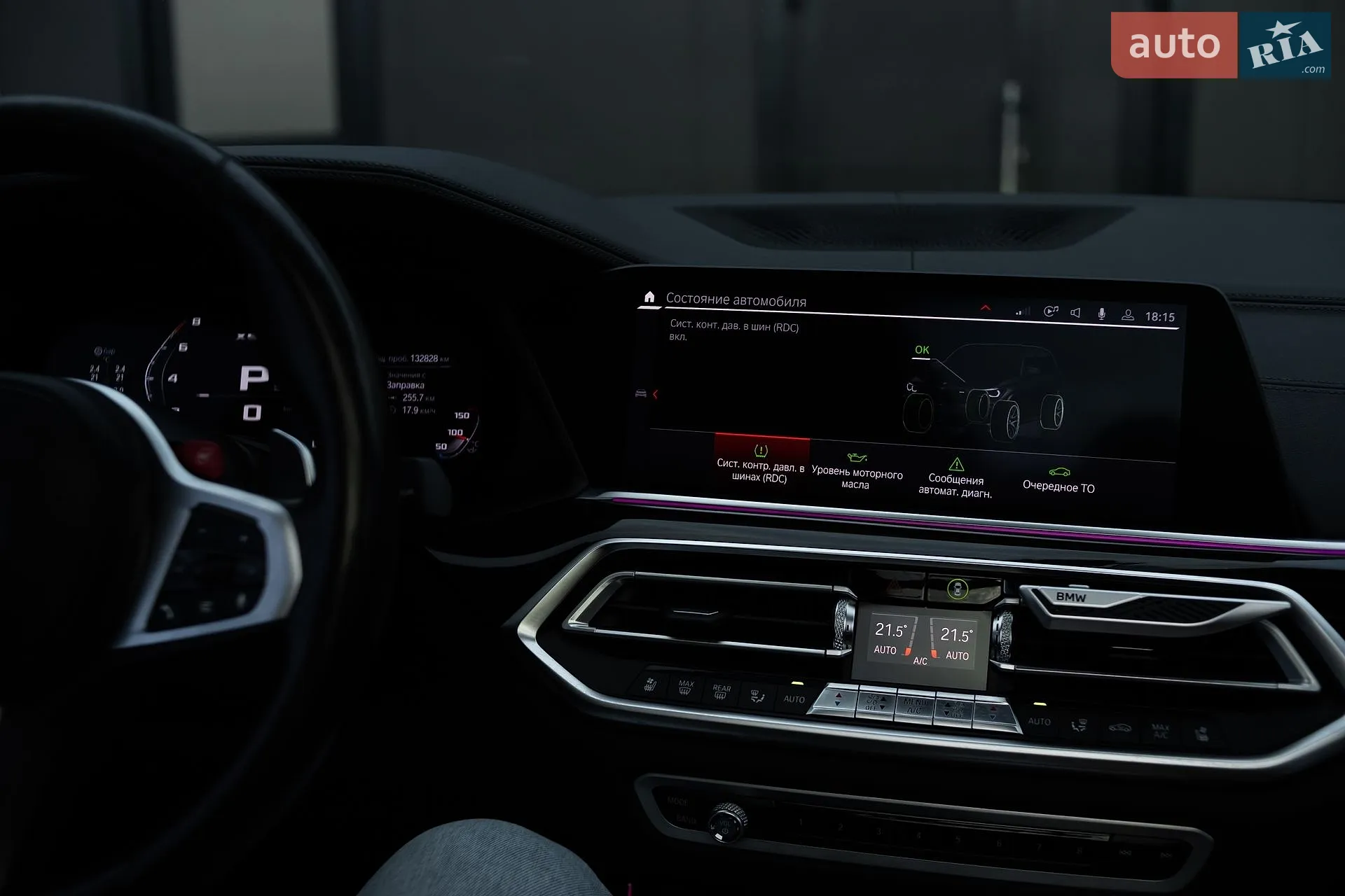2019 BMW X5 - мініатюра 28