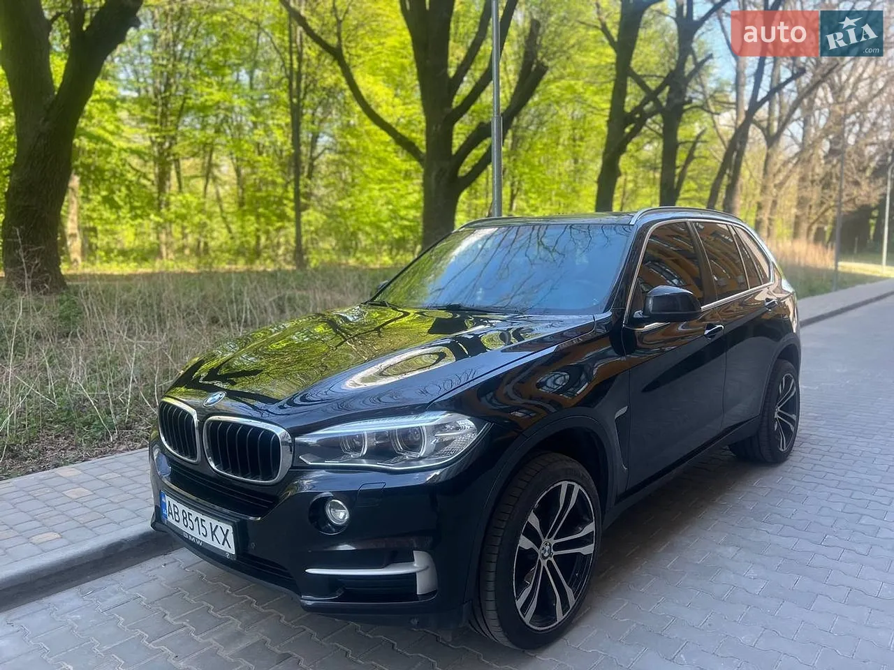 2013 BMW X5 - мініатюра 67