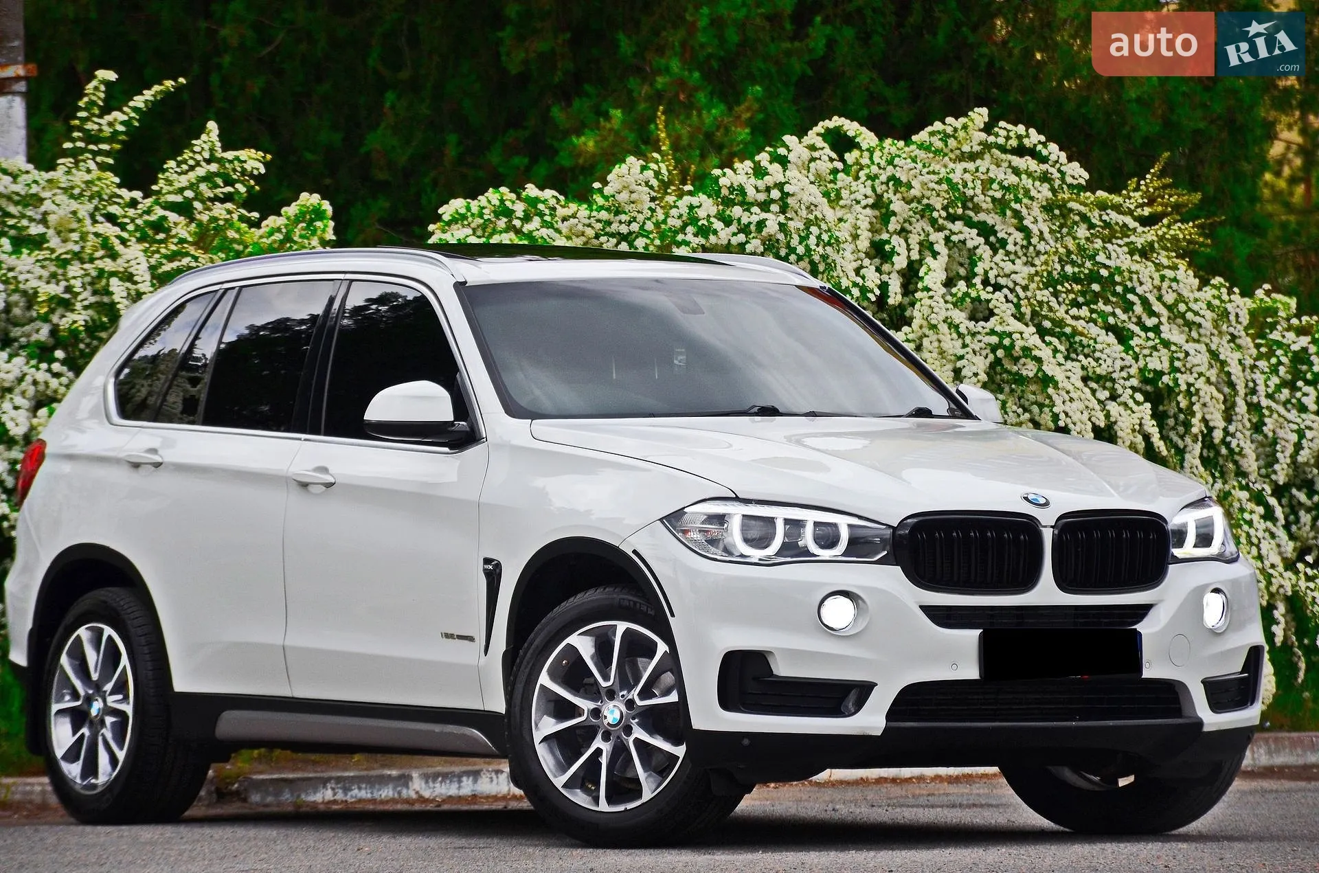 2017 BMW X5 - мініатюра 4