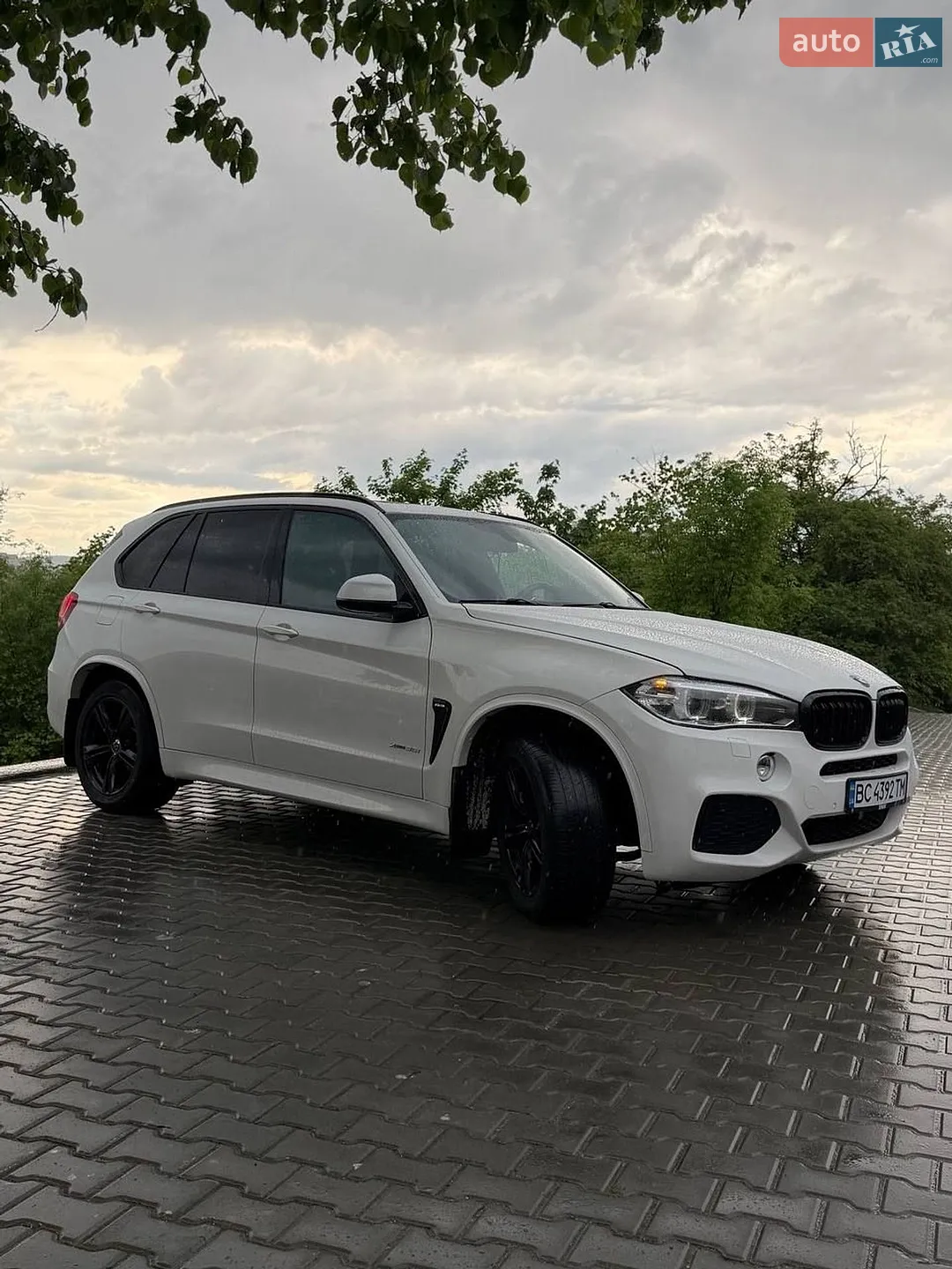 2015 BMW X5 - мініатюра 6