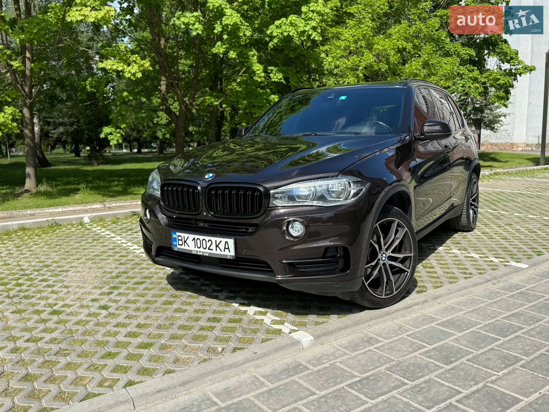 2015 BMW X5 - мініатюра 9