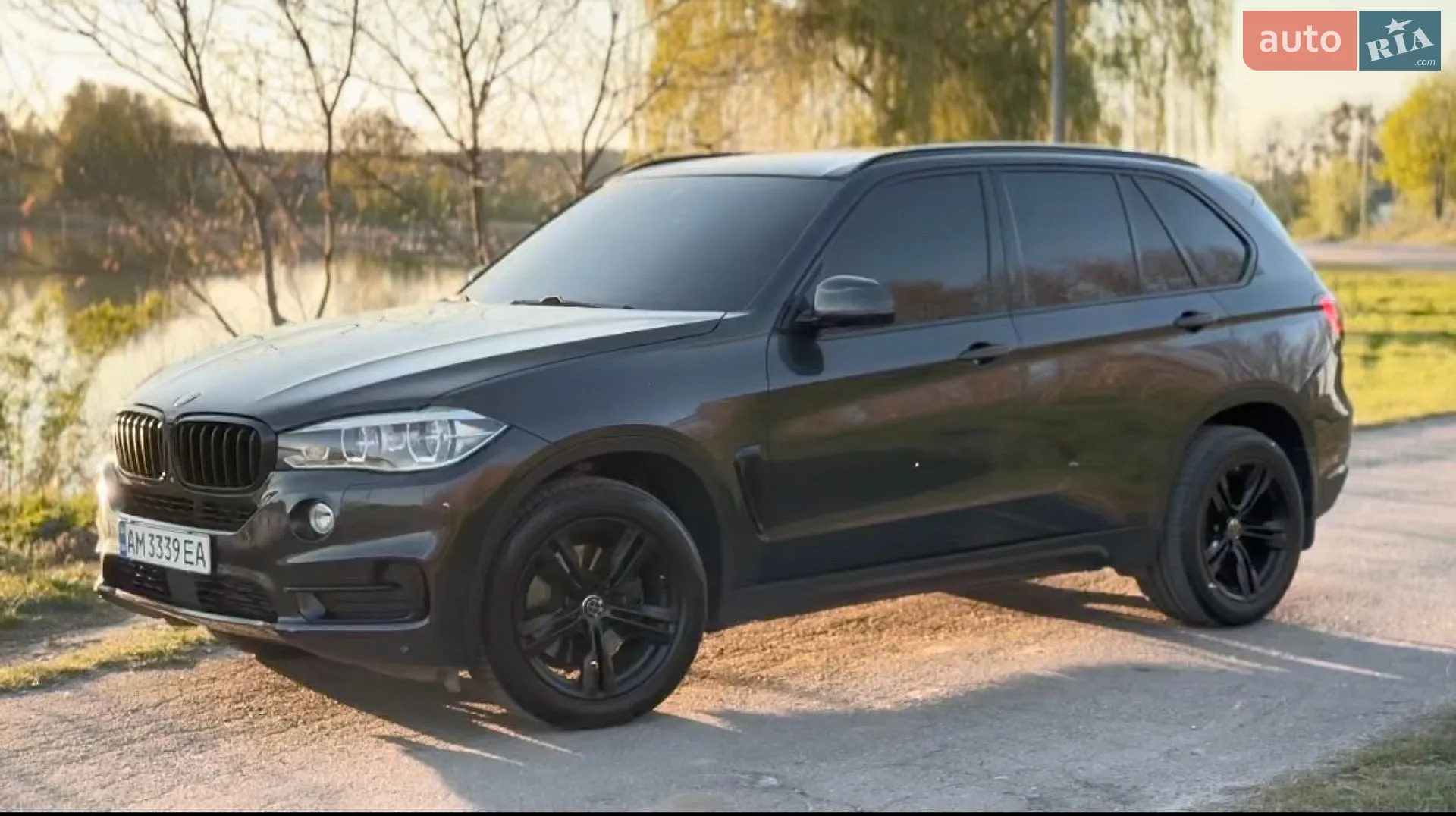 2014 BMW X5 - мініатюра 4
