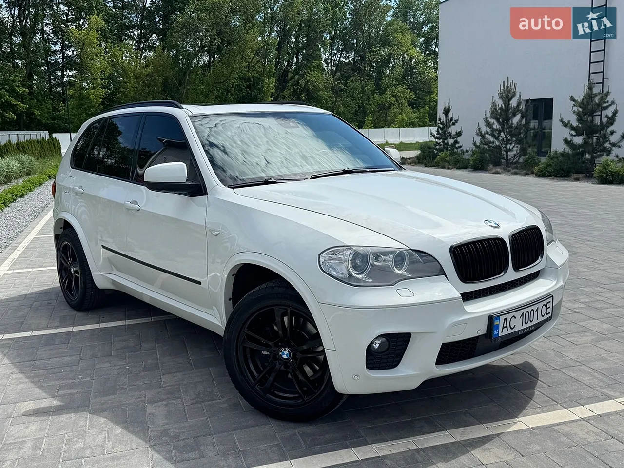 2010 BMW X5 - мініатюра 19