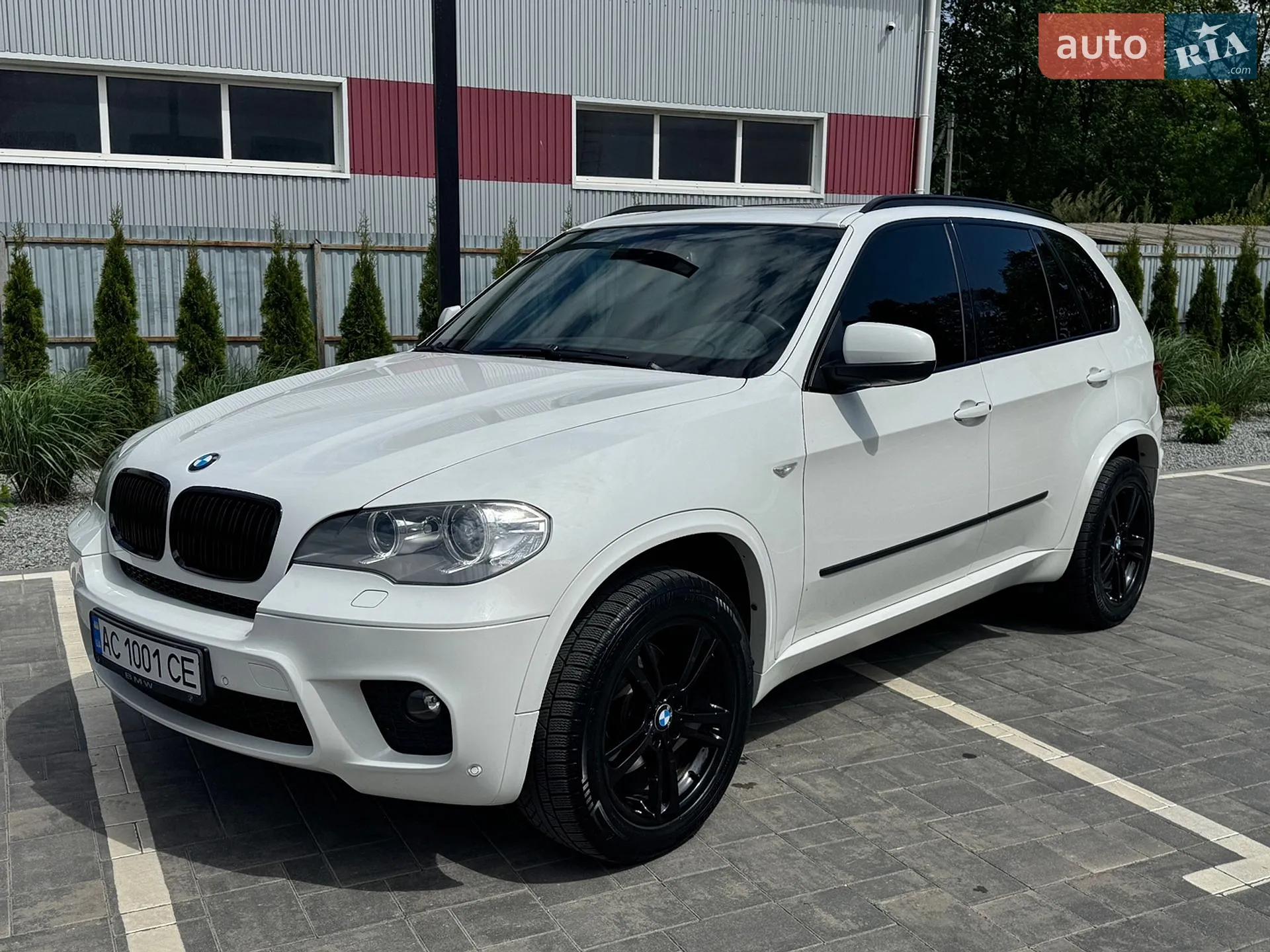 2010 BMW X5 - мініатюра 2