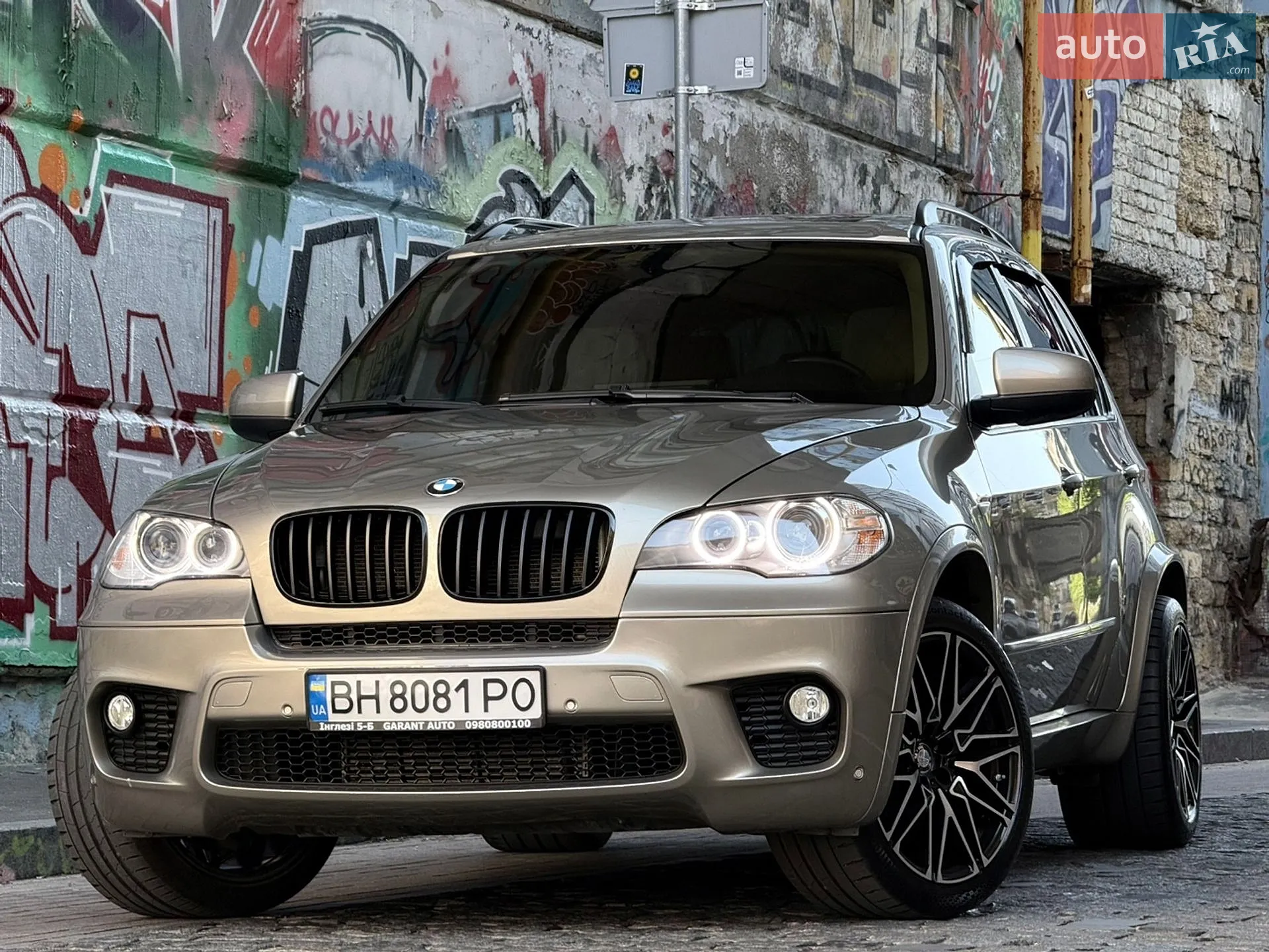 2010 BMW X5 - мініатюра 9