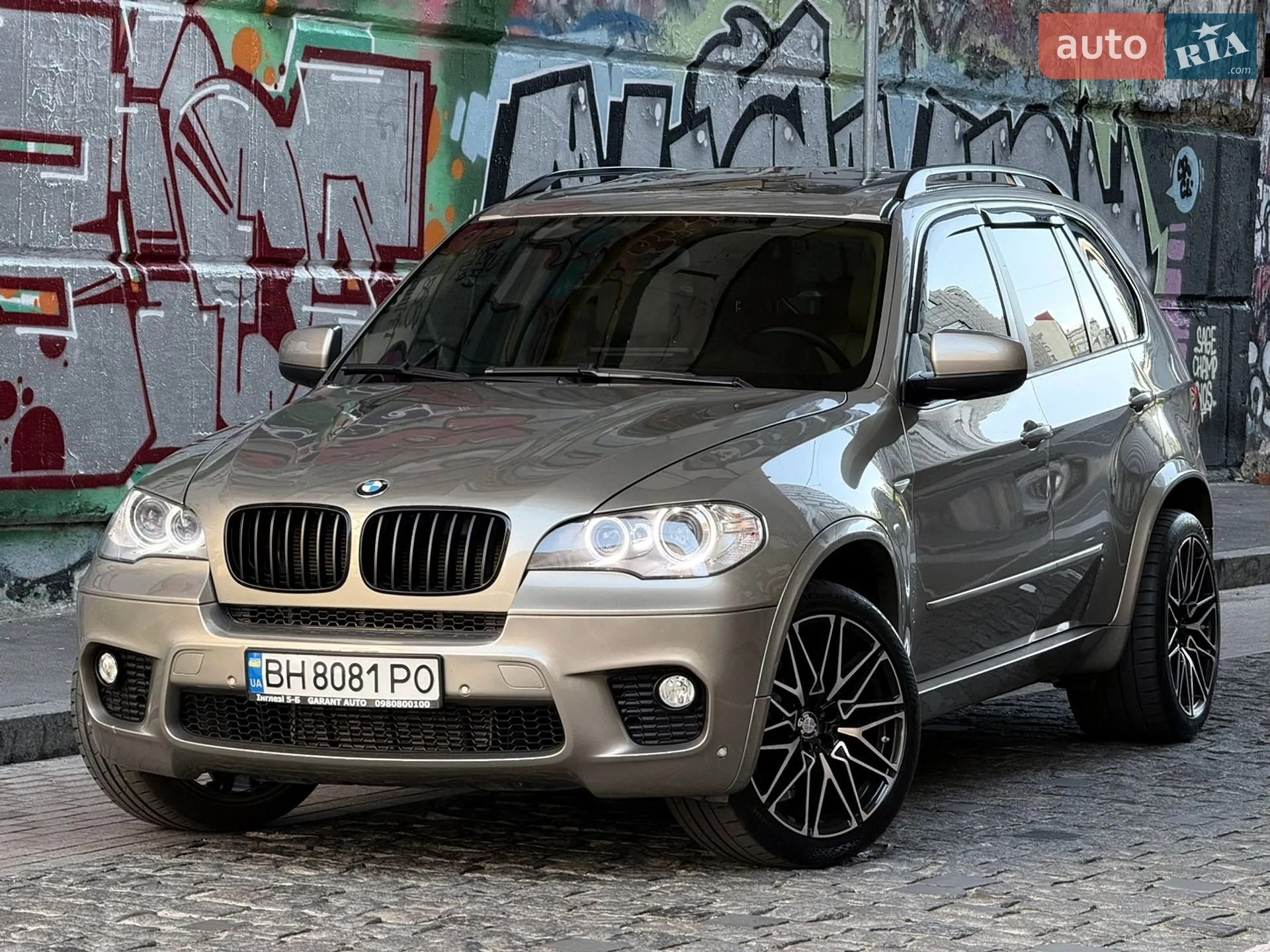 2010 BMW X5 - мініатюра 14