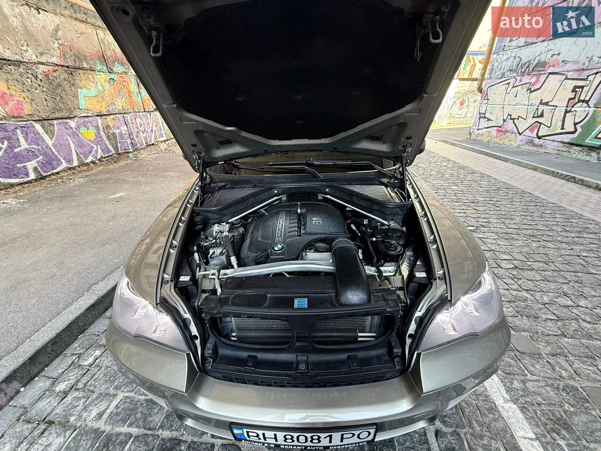 2010 BMW X5 - мініатюра 52