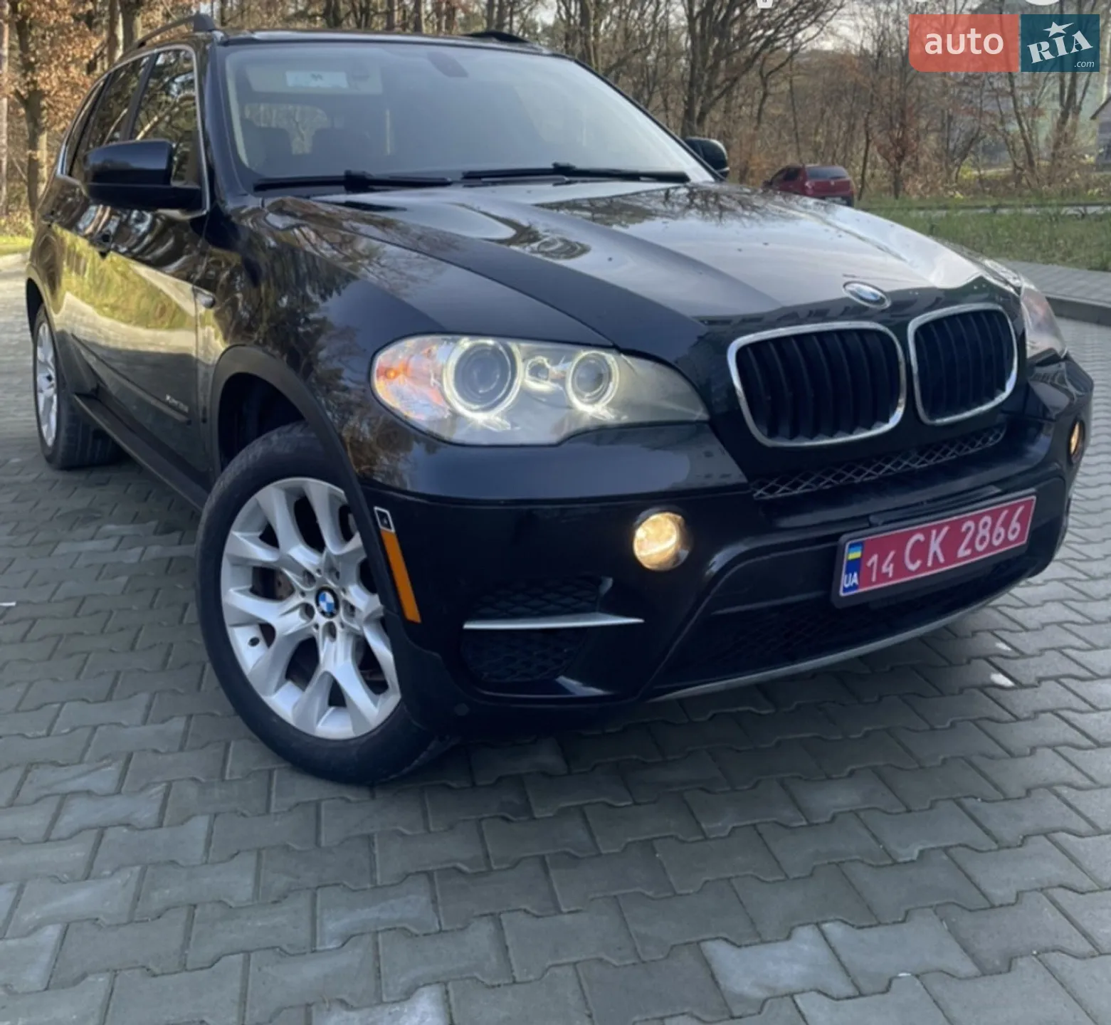 2013 BMW X5 - мініатюра 2