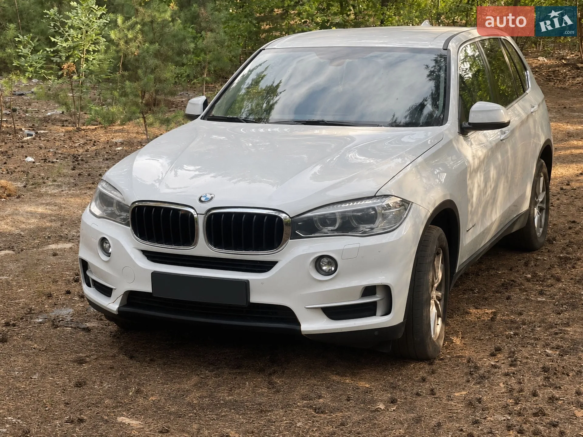 2018 BMW X5 - мініатюра 2