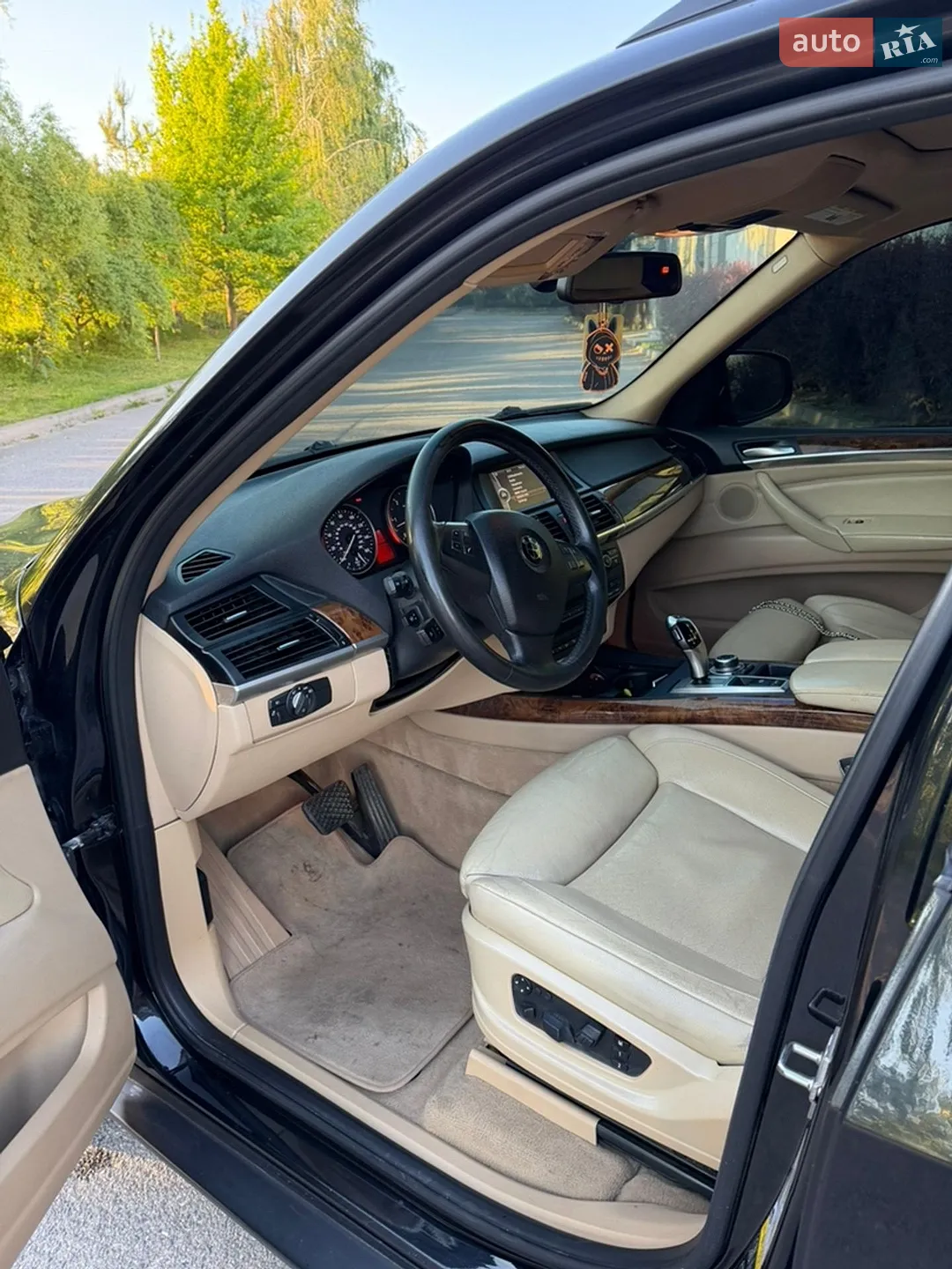 2010 BMW X5 - мініатюра 25