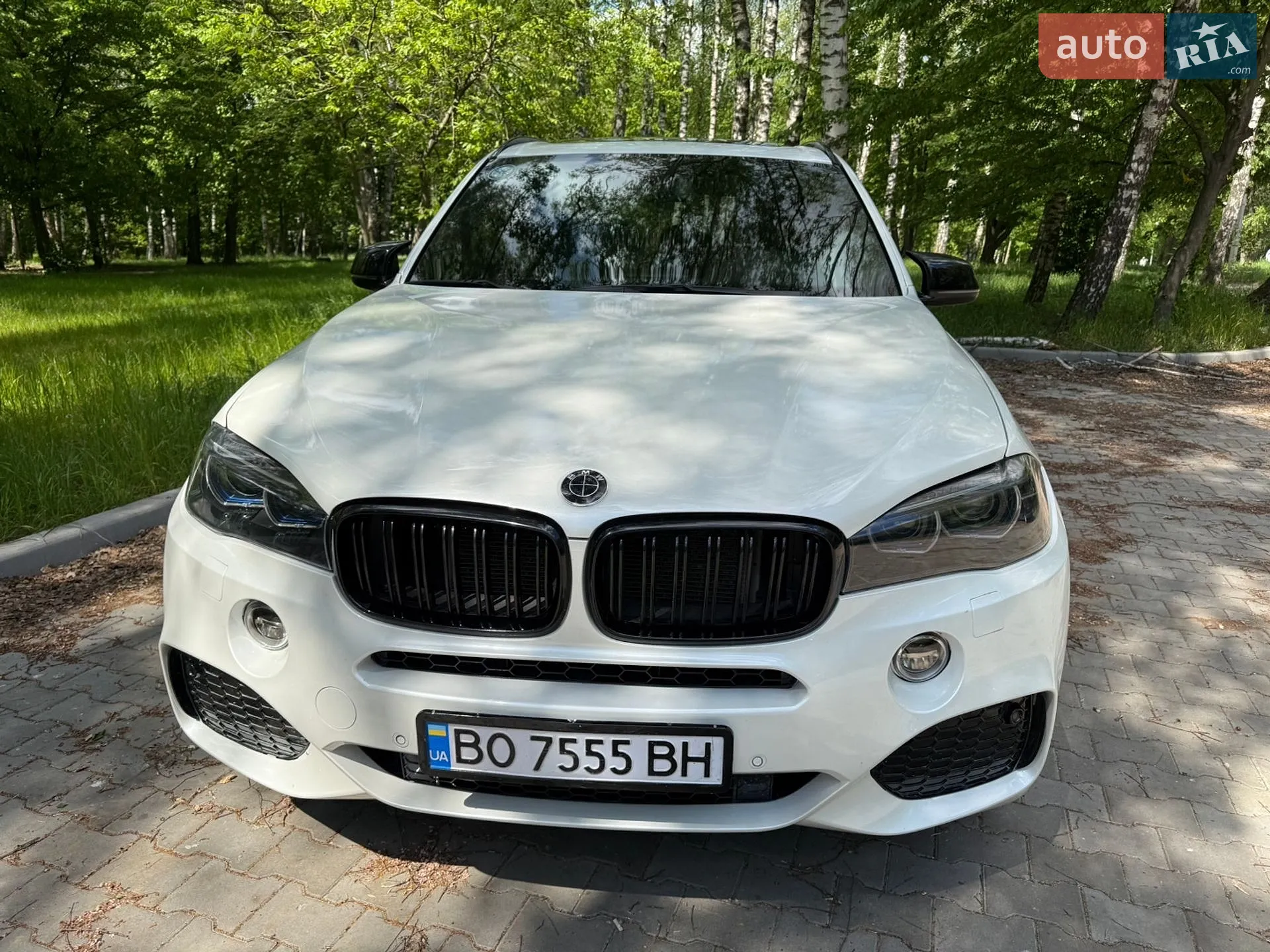 2013 BMW X5 - мініатюра 3
