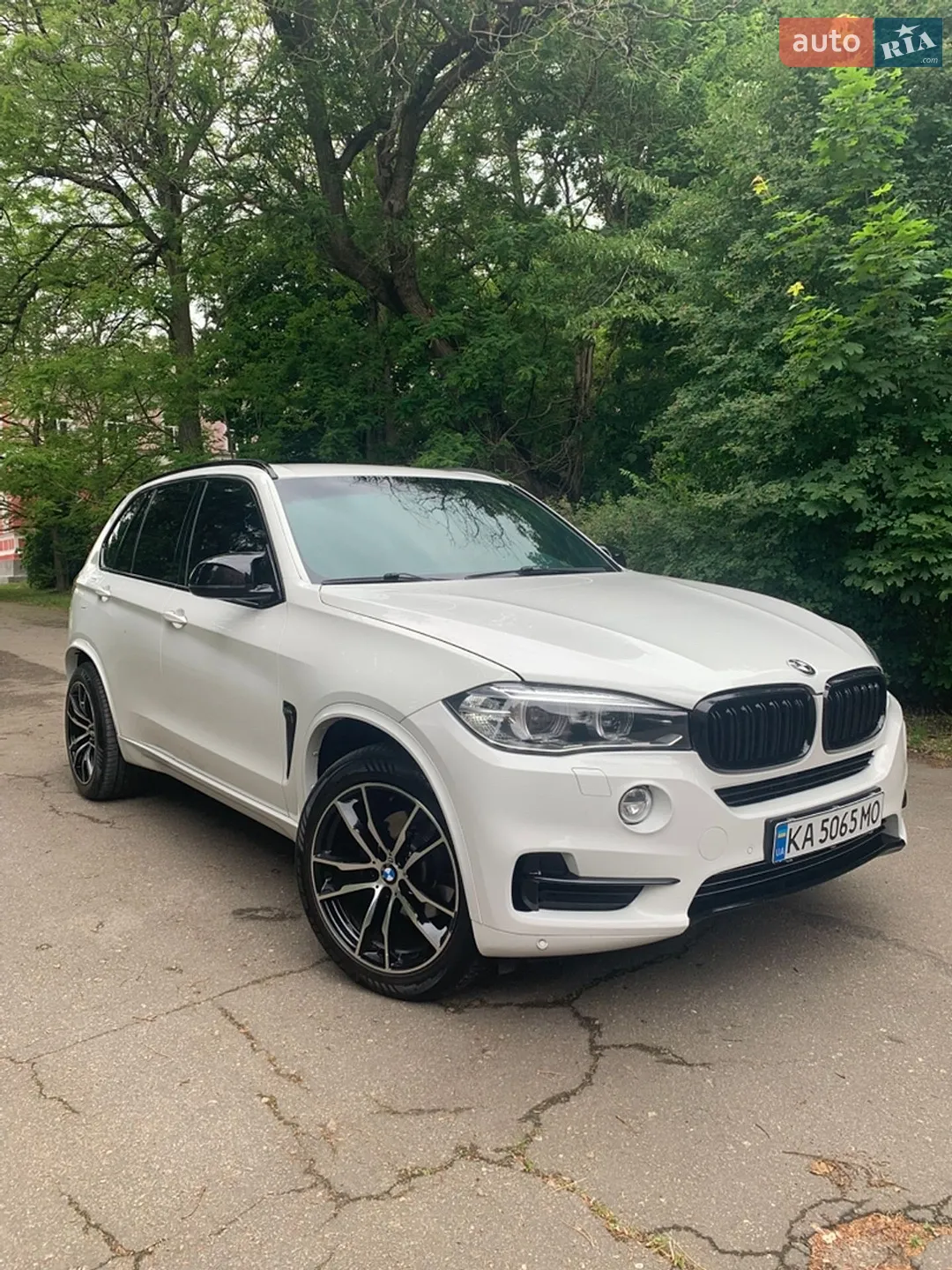 2013 BMW X5 - мініатюра 5