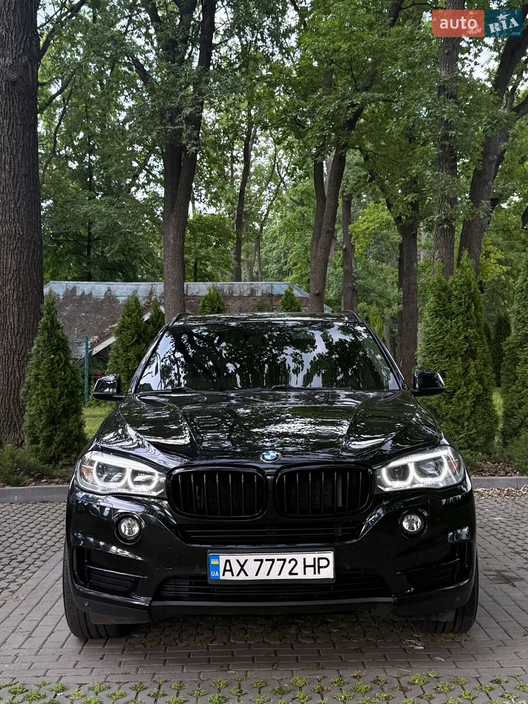 2016 BMW X5 - мініатюра 4