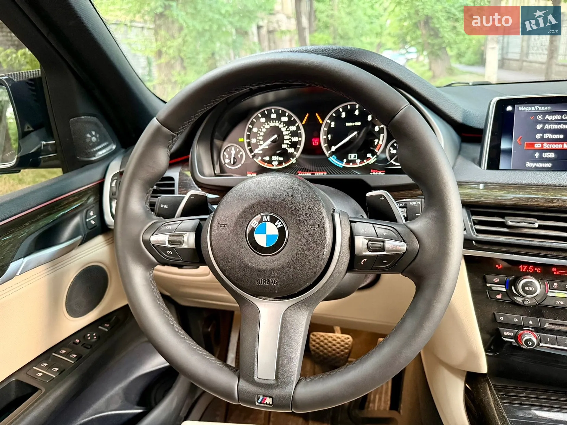 2018 BMW X5 - мініатюра 44