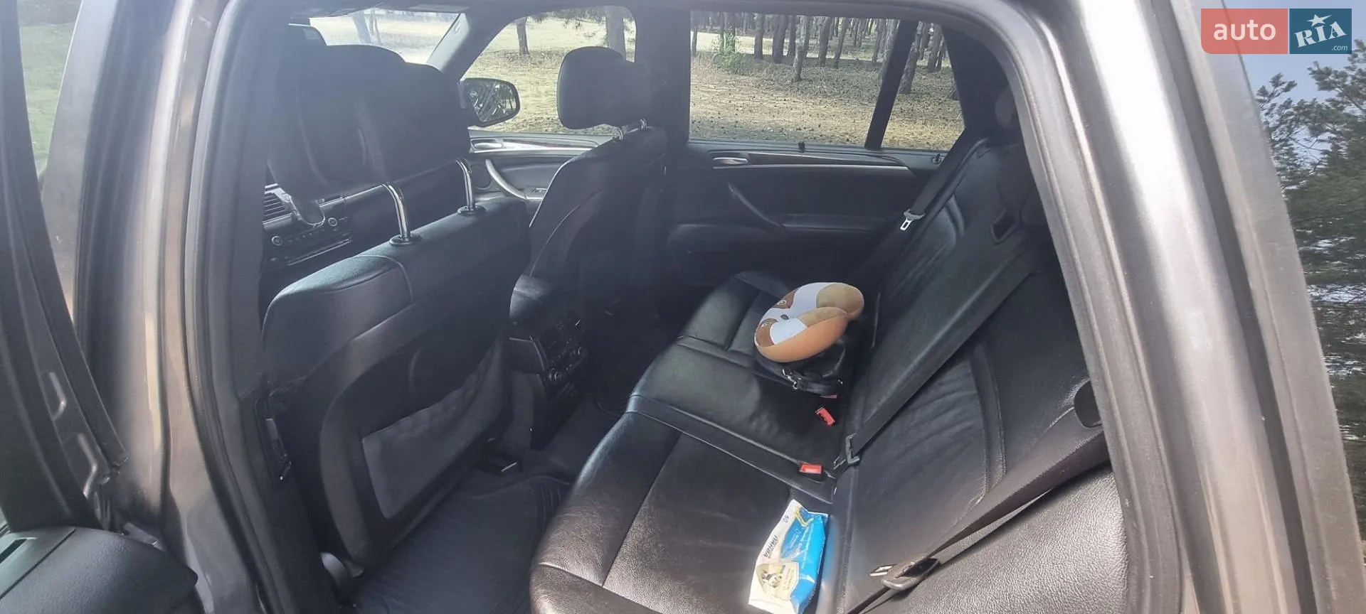 2010 BMW X5 - мініатюра 26