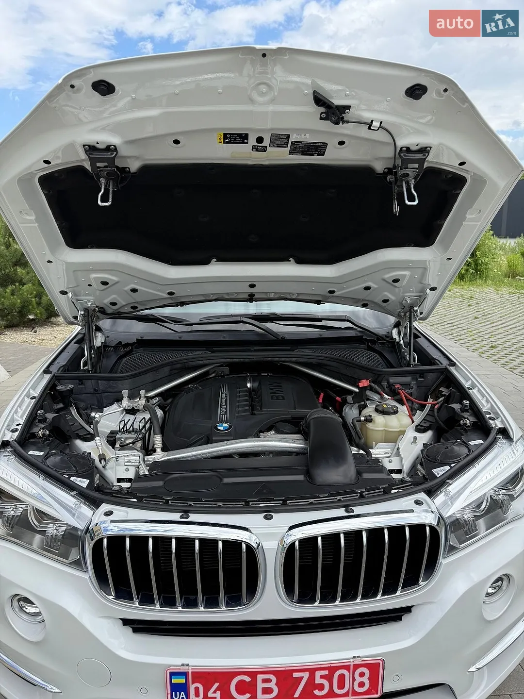 2018 BMW X5 - мініатюра 47