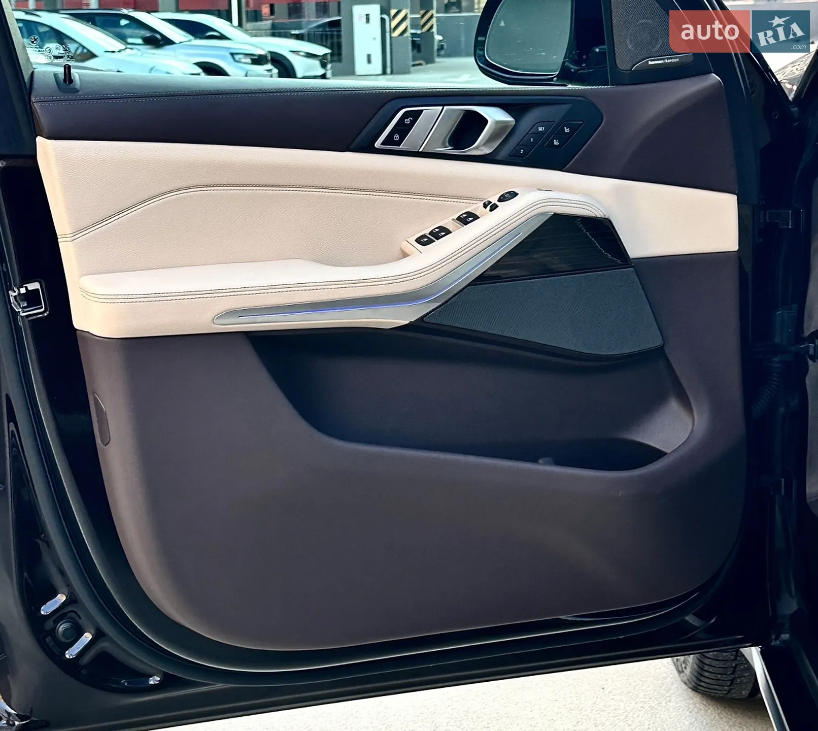 2019 BMW X5 - мініатюра 32